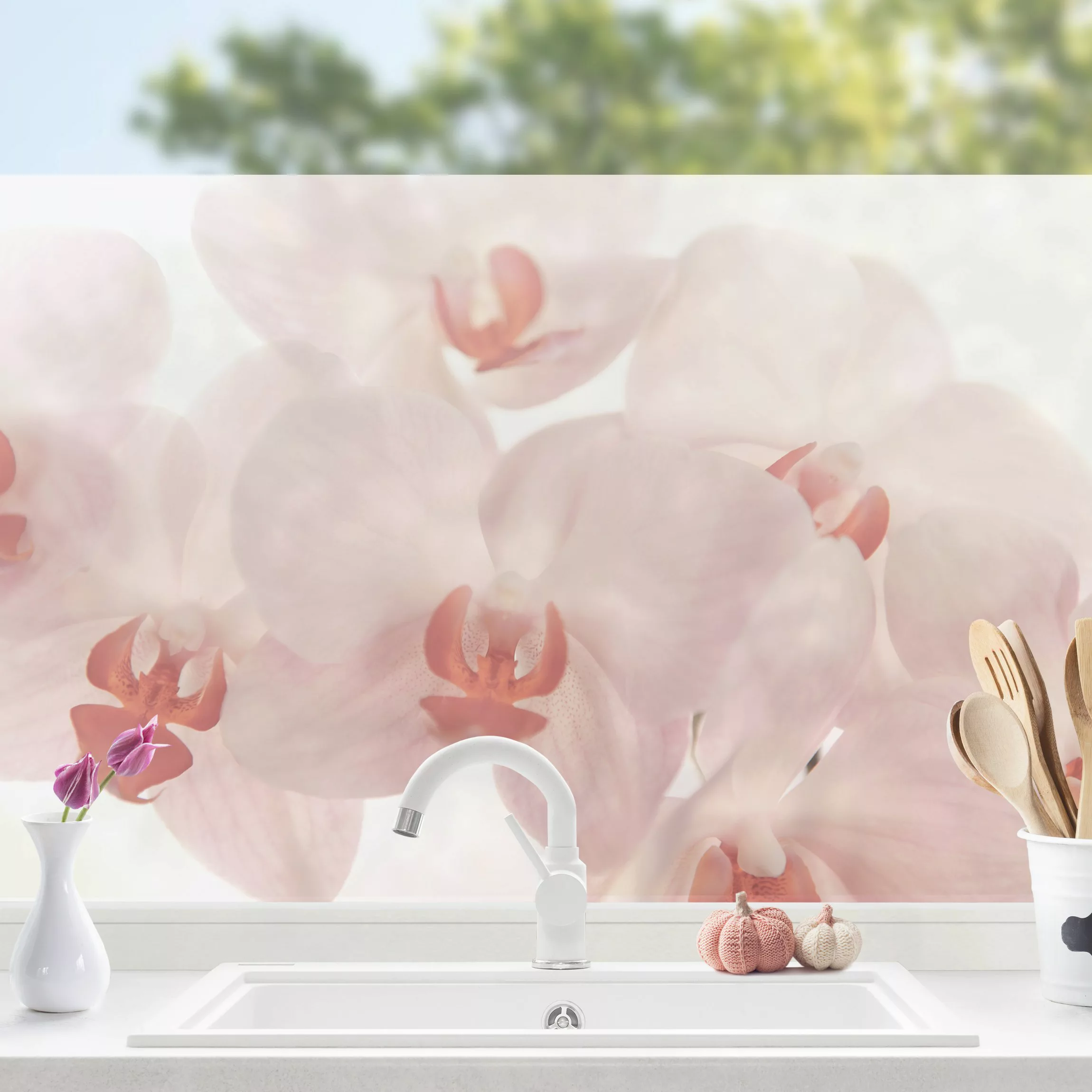 Fensterfolie Helle Orchidee - Svelte Orchids günstig online kaufen