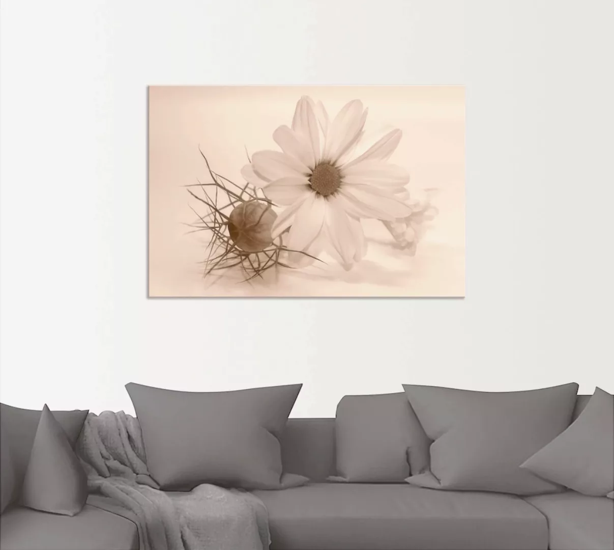 Artland Wandbild »Chrysantheme«, Blumen, (1 St.), als Alubild, Outdoorbild, günstig online kaufen