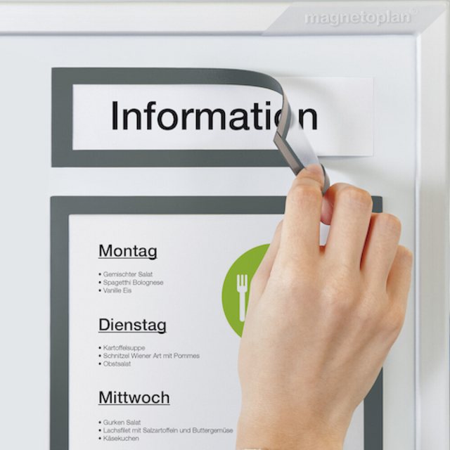 magnetoplan® Hängevitrine Magnetrahmen 5 Stk. grau, 232x52mm (1-St) günstig online kaufen