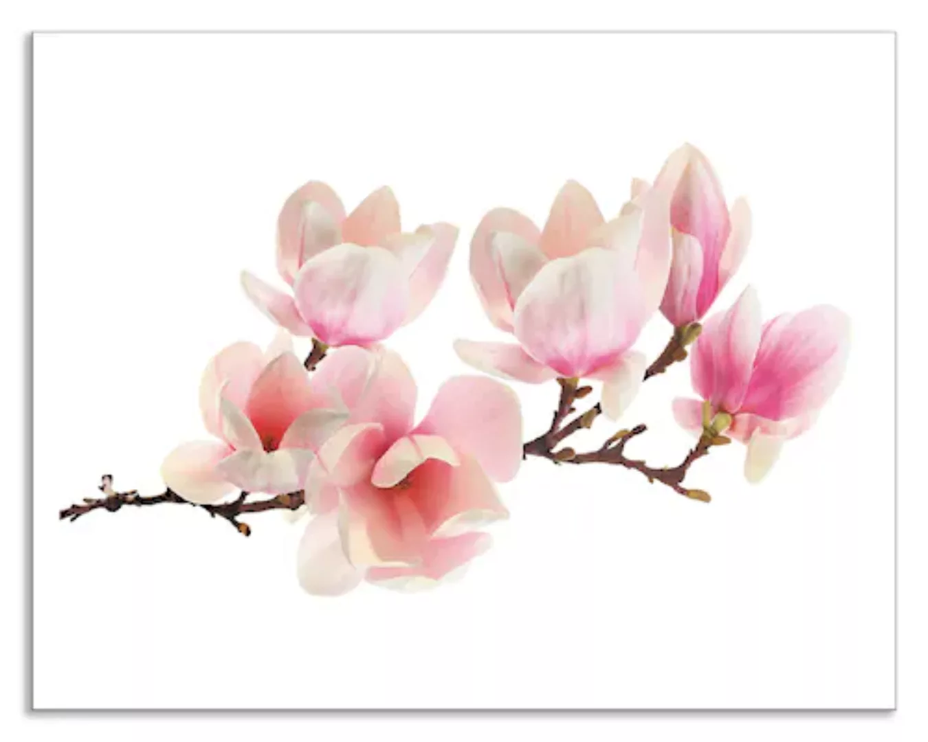 Artland Küchenrückwand "Magnolie", (1 tlg.), Alu Spritzschutz mit Klebeband günstig online kaufen