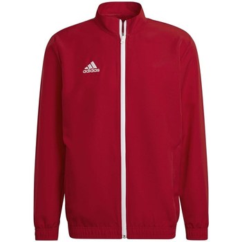 adidas  Sweatshirt Entrada 22 Presentation günstig online kaufen