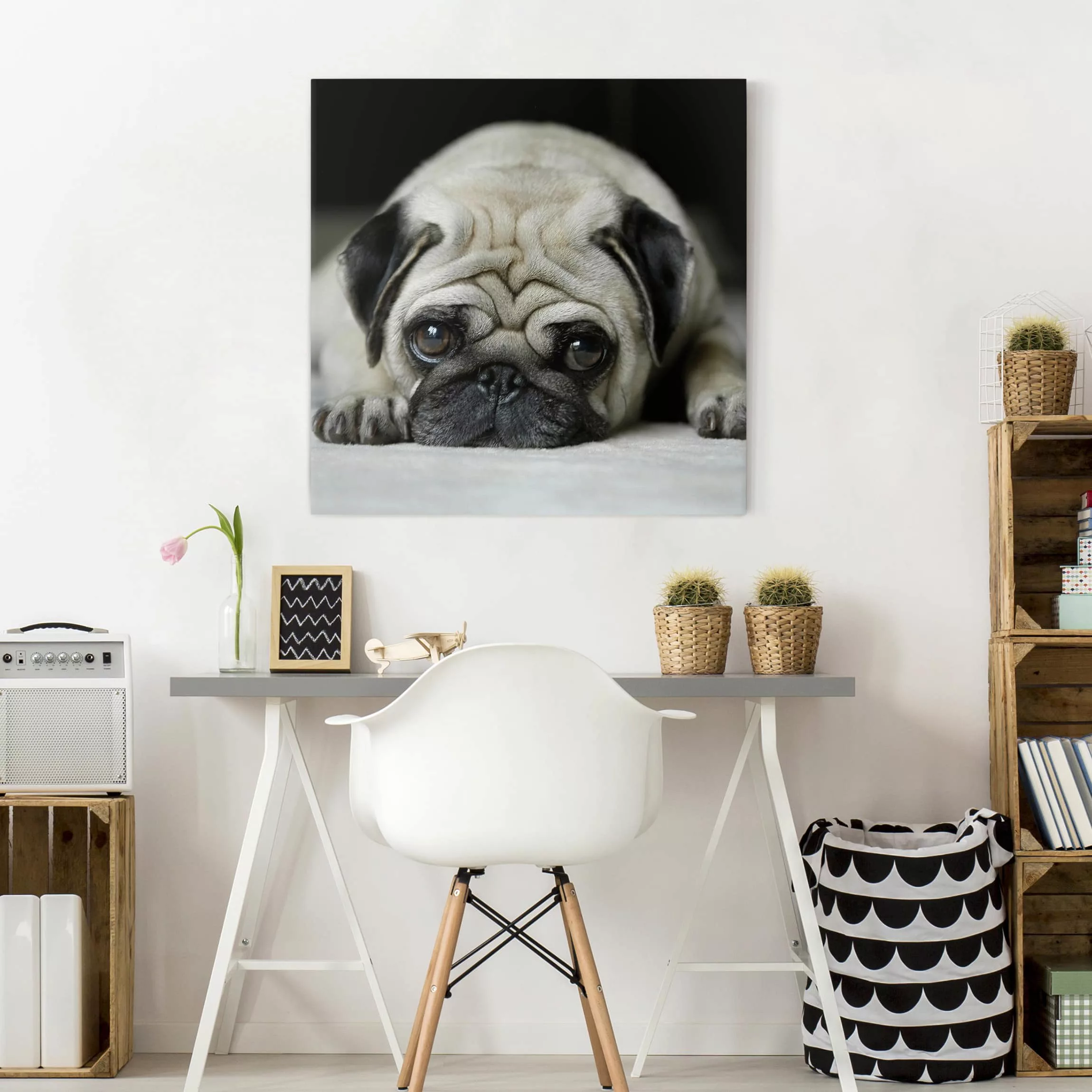 Leinwandbild Tiere - Quadrat Pug Loves You günstig online kaufen