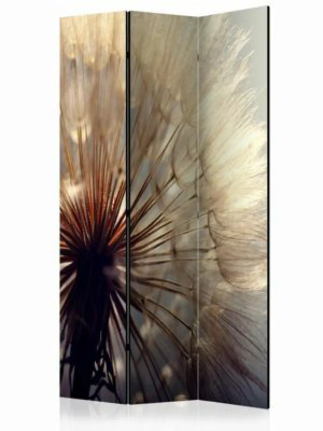 artgeist Paravent Dandelion Kiss [Room Dividers] braun-kombi Gr. 135 x 172 günstig online kaufen