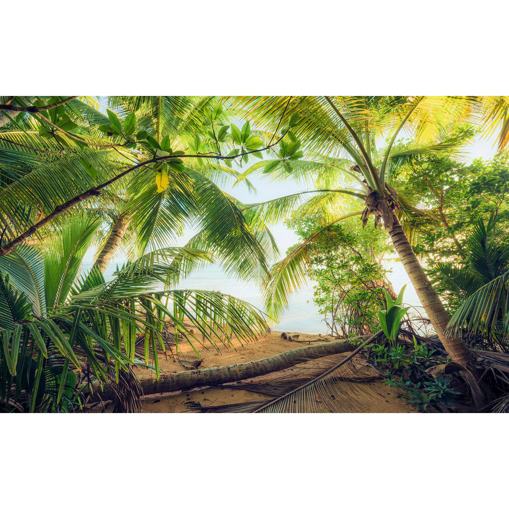 Sanders & Sanders Fototapete Landschaft Grün und Blau 450 x 280 cm 612656 günstig online kaufen