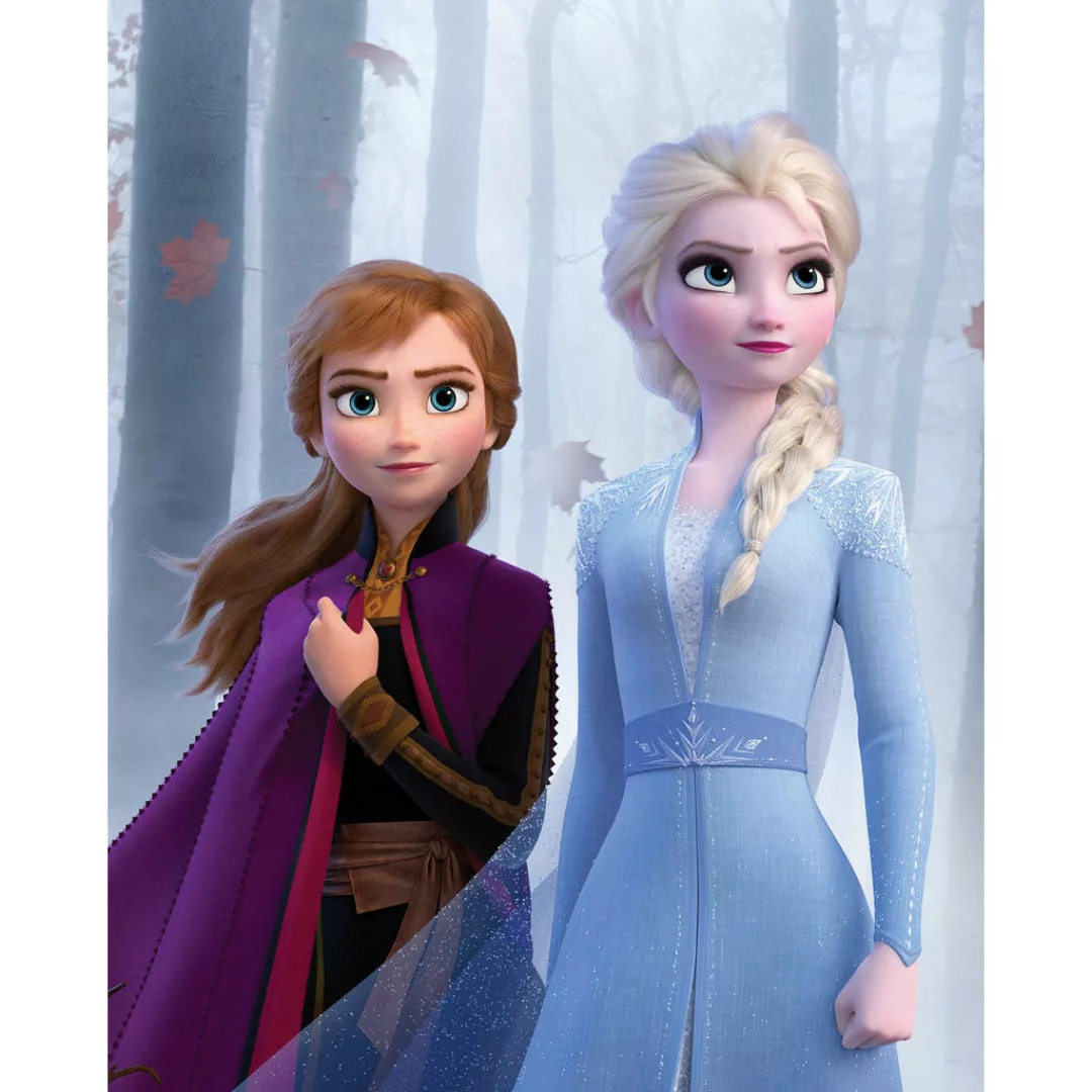 Komar Wandbild Frozen Sisters in the Wood Disney B/L: ca. 40x50 cm günstig online kaufen