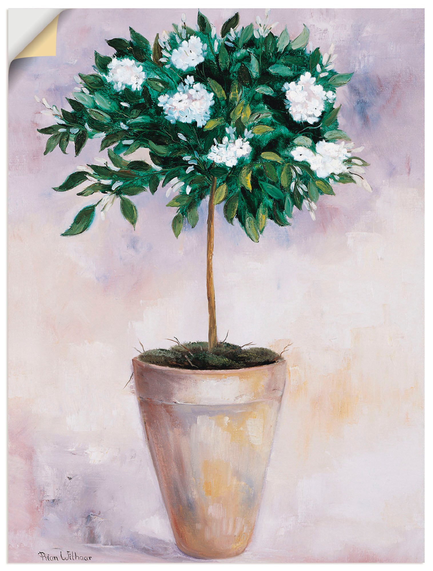 Artland Wandbild "Winterjasmin", Pflanzen, (1 St.), als Poster, Wandaufkleb günstig online kaufen
