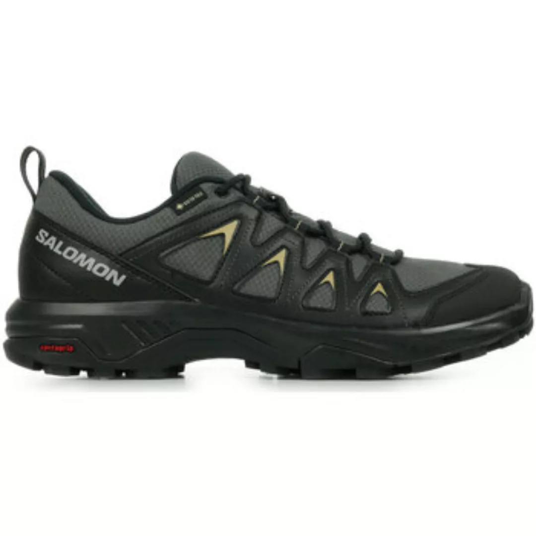 Salomon Wanderschuh "X BRAZE GORE-TEX", wasserdicht günstig online kaufen