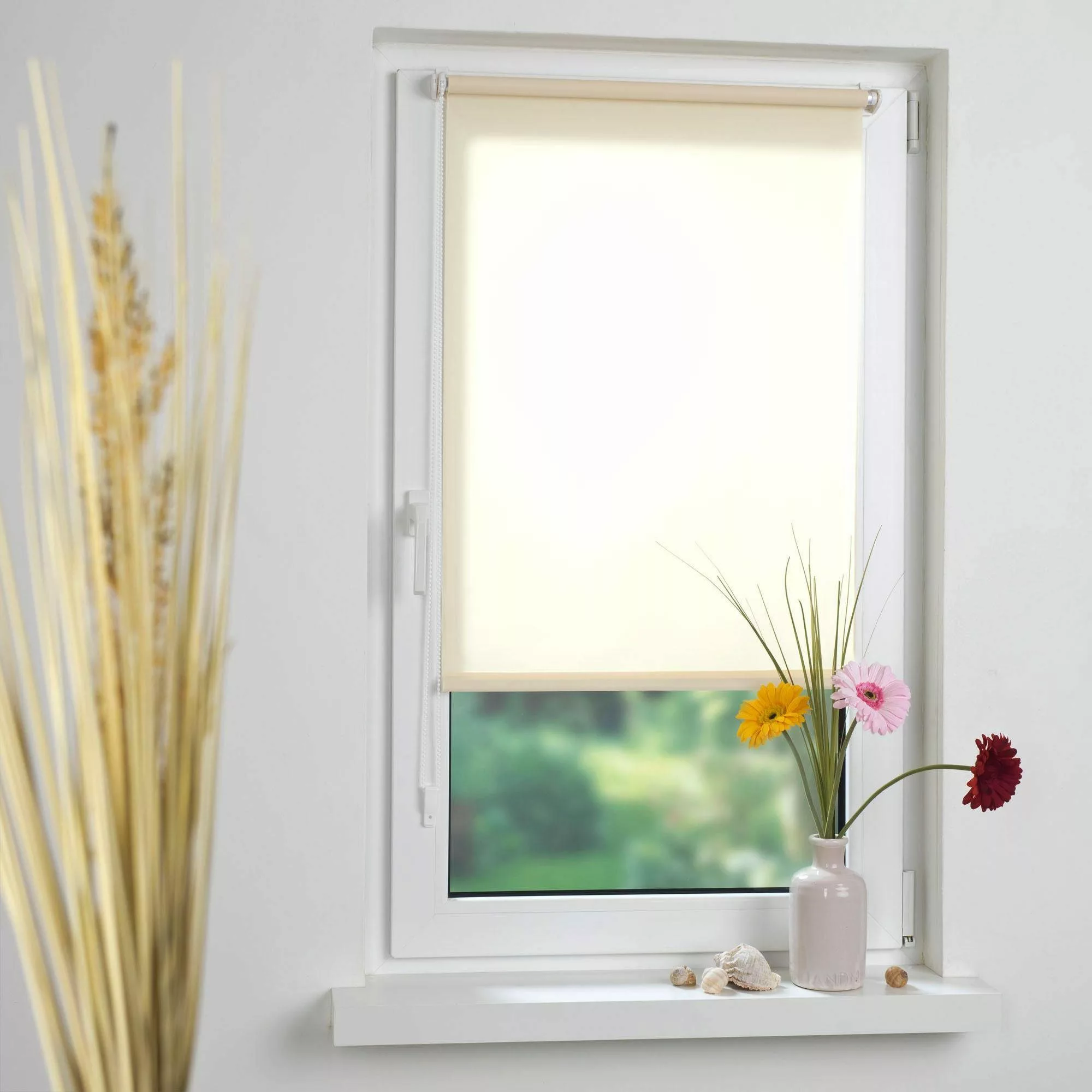 Seitenzugrollo Klemmfix, Liedeco, Lichtschutz, ohne Bohren, günstig online kaufen