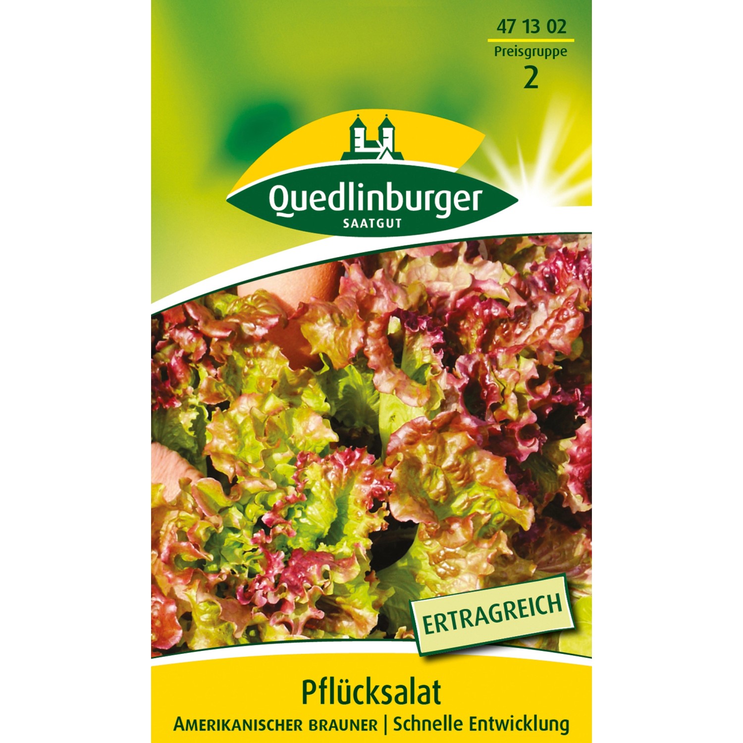 Quedlinburger Pflück Salat ''Amerikanischer brauner'' Kleinpackung günstig online kaufen
