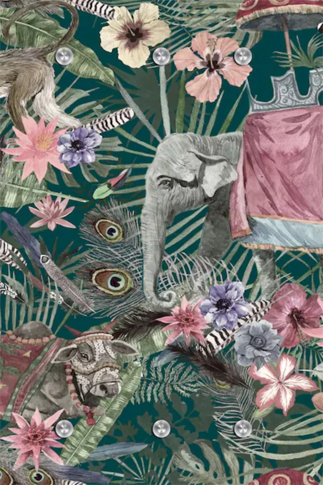queence Garderobenleiste "Dschungel" günstig online kaufen