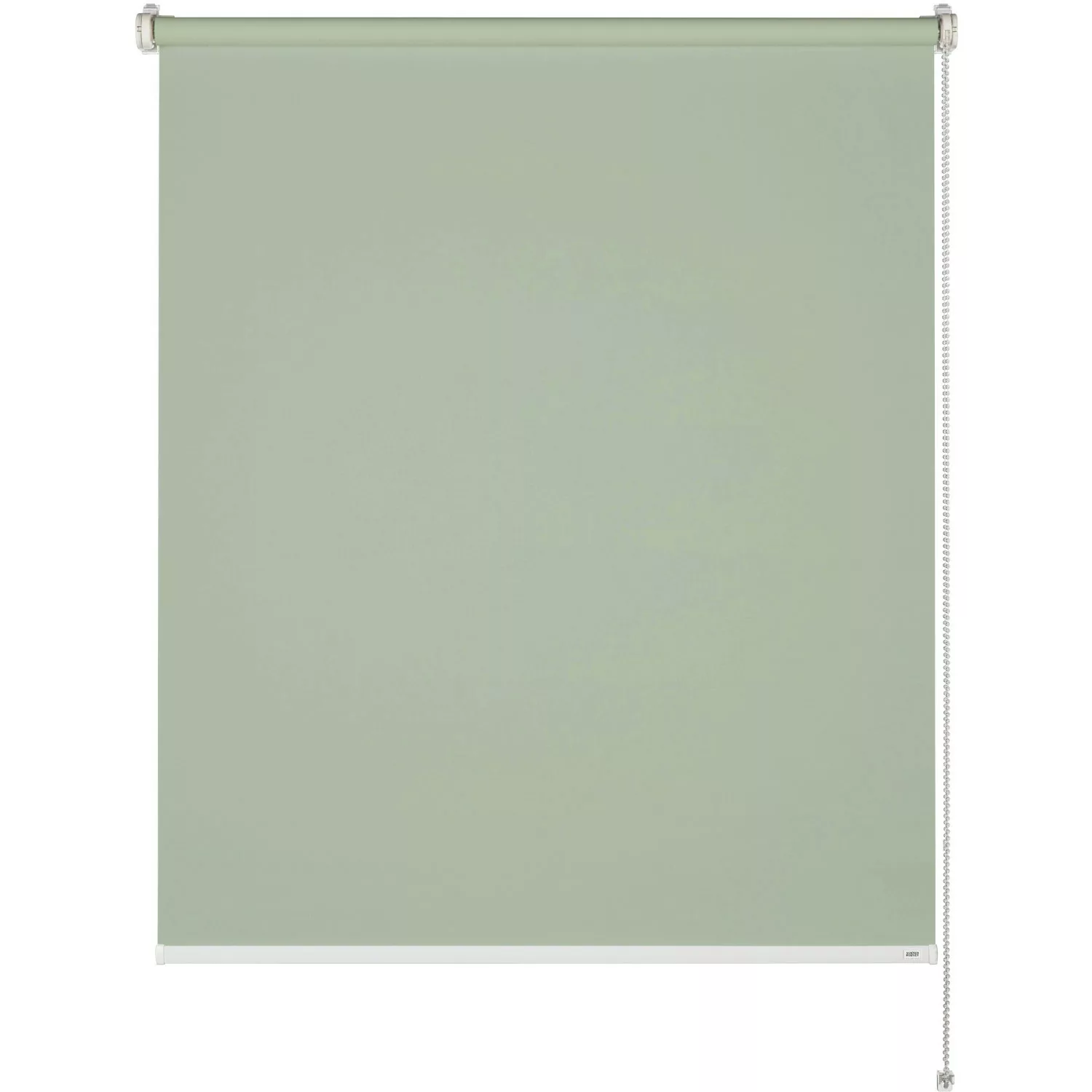 Schöner Wohnen Tageslicht-Rollo Tizia 100 cm x 150 cm Grün günstig online kaufen