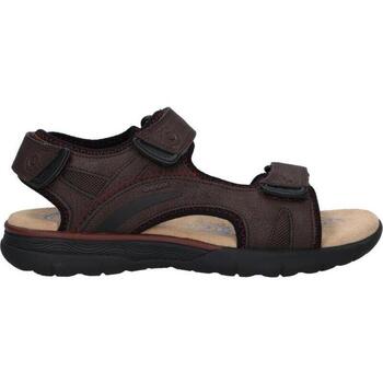 Geox  Sandalen U25ELA 0EK14 U SPHERICA EC5 günstig online kaufen