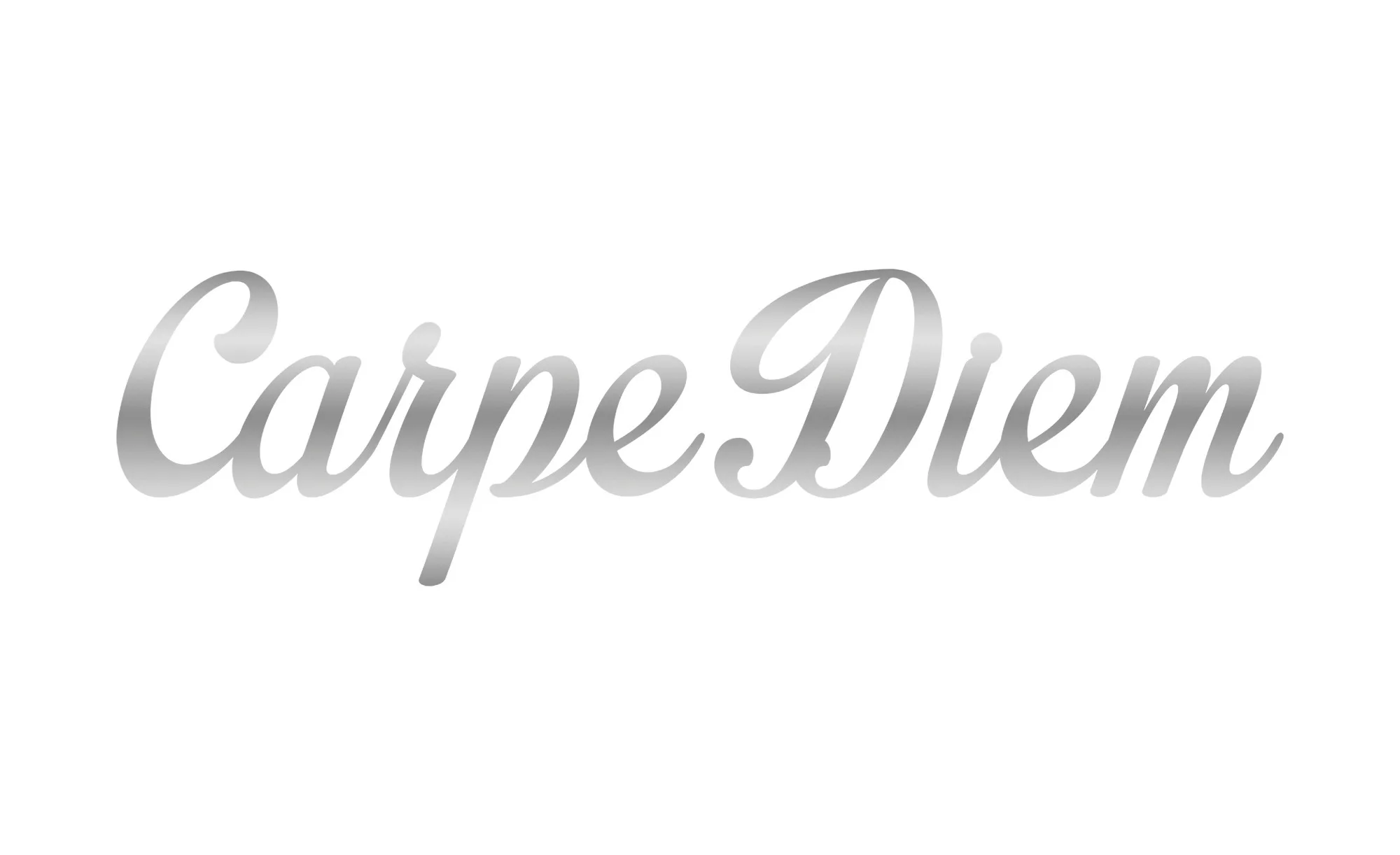 Cut-Out "Carpe Diem" - silber - 70 cm - 25 cm - Sconto günstig online kaufen