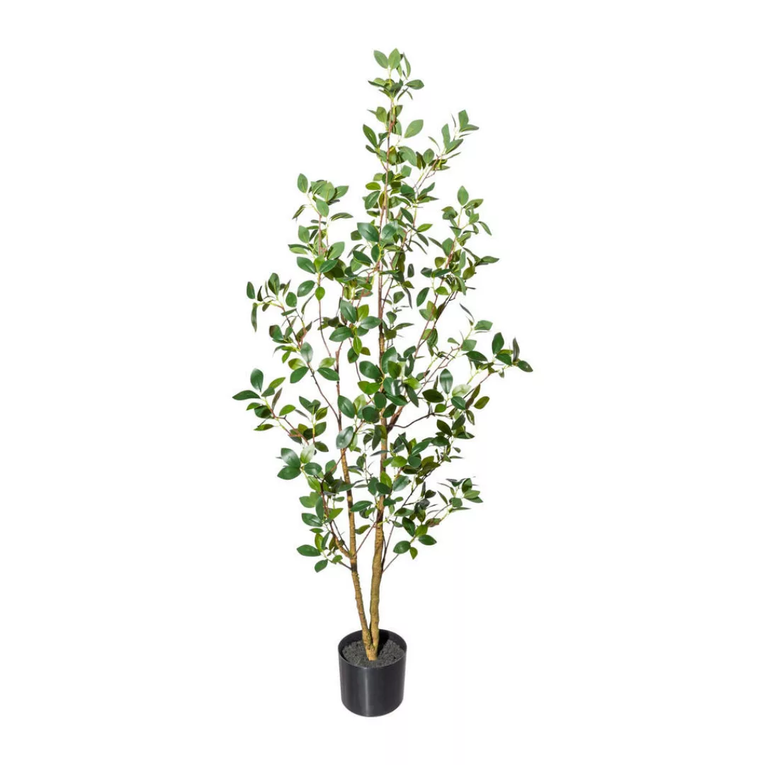 Kunstpflanze Ficus ginseng grün Kunststoff B/H/L: ca. 20x120x20 cm günstig online kaufen