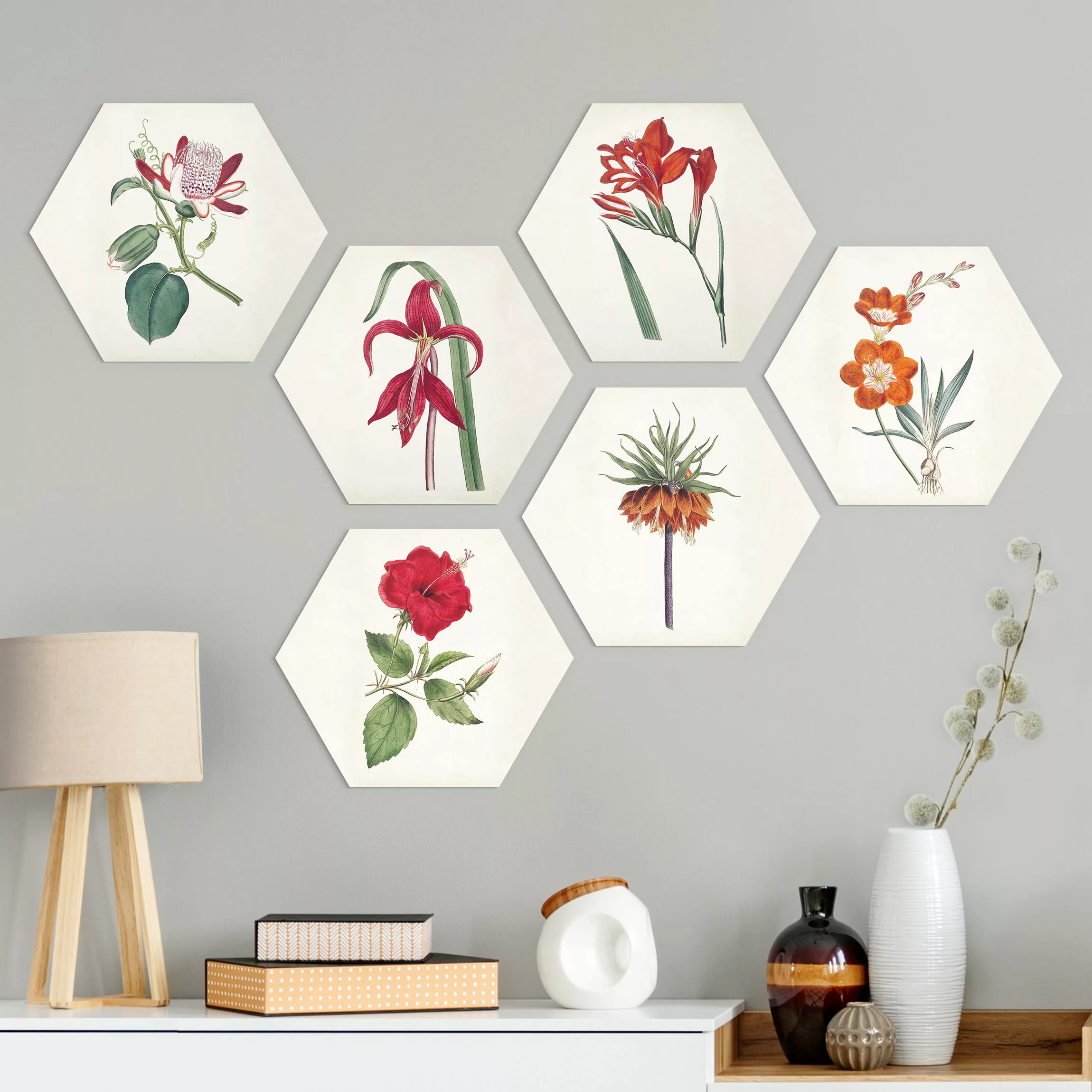 6-teiliges Hexagon-Alu-Dibond Bild Gartenschönheit Set IV günstig online kaufen