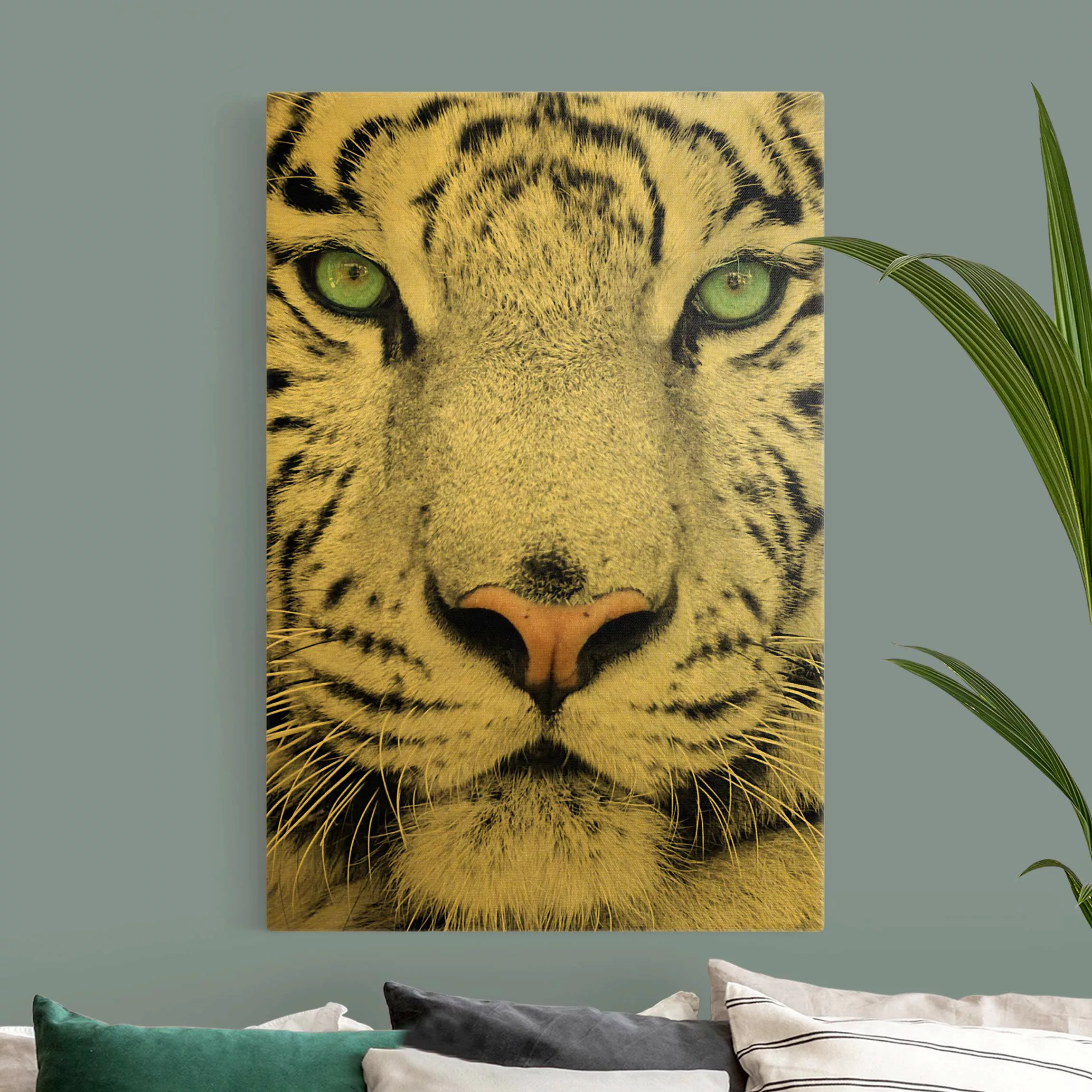 Leinwandbild Gold Weißer Tiger günstig online kaufen