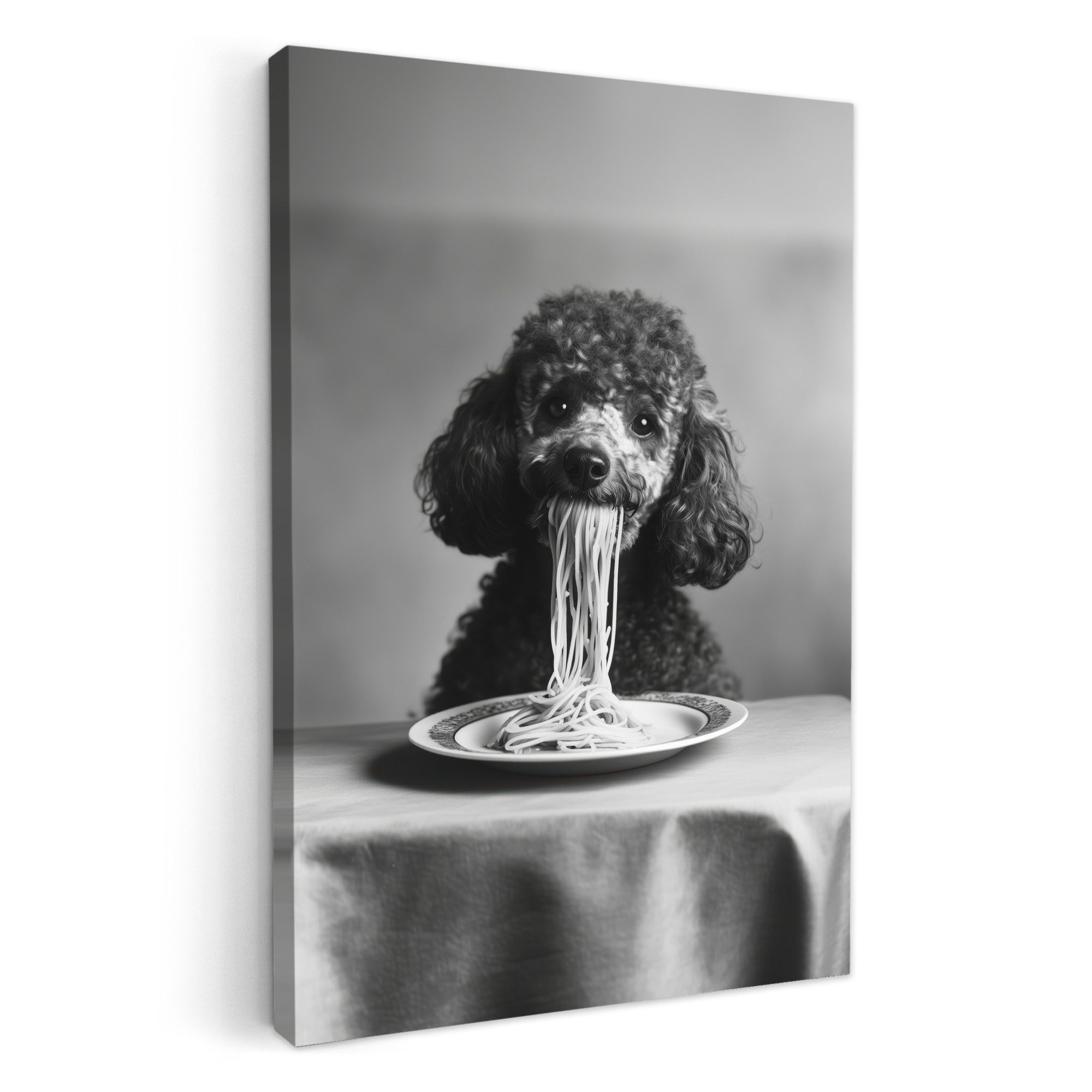 OneMillionCanvasses® Leinwandbild Pudel - Hund - günstig online kaufen
