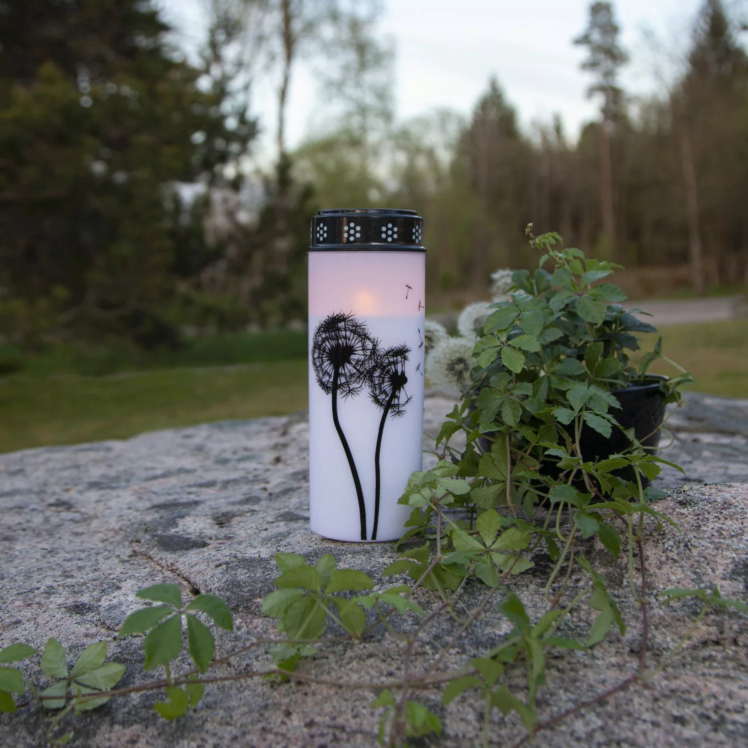 MARELIDA LED-Kerze LED Grablicht Grabkerze Pusteblume günstig online kaufen