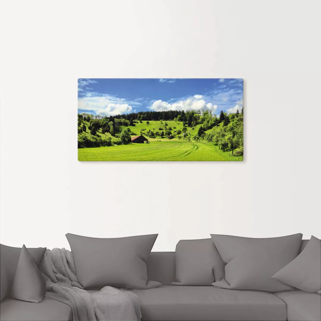 Artland Wandbild "Traumhafte Landschaft im Schwarzwald", Wiesen & Baumbilde günstig online kaufen