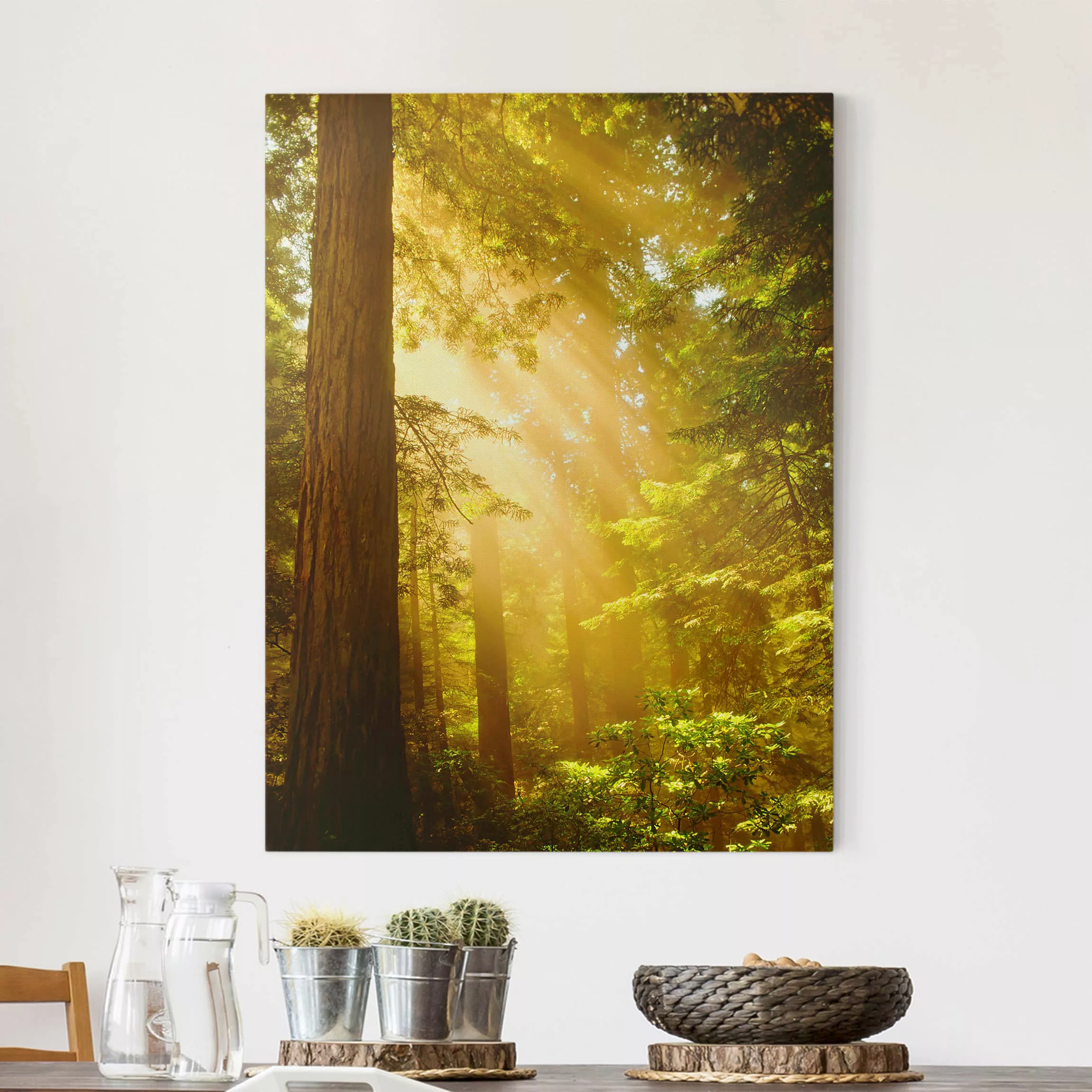 Leinwandbild Wald - Hochformat Morgengold günstig online kaufen