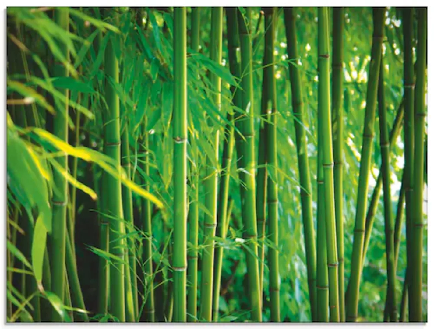 Artland Glasbild »Bambus III«, Gräser, (1 St.), in verschiedenen Größen günstig online kaufen