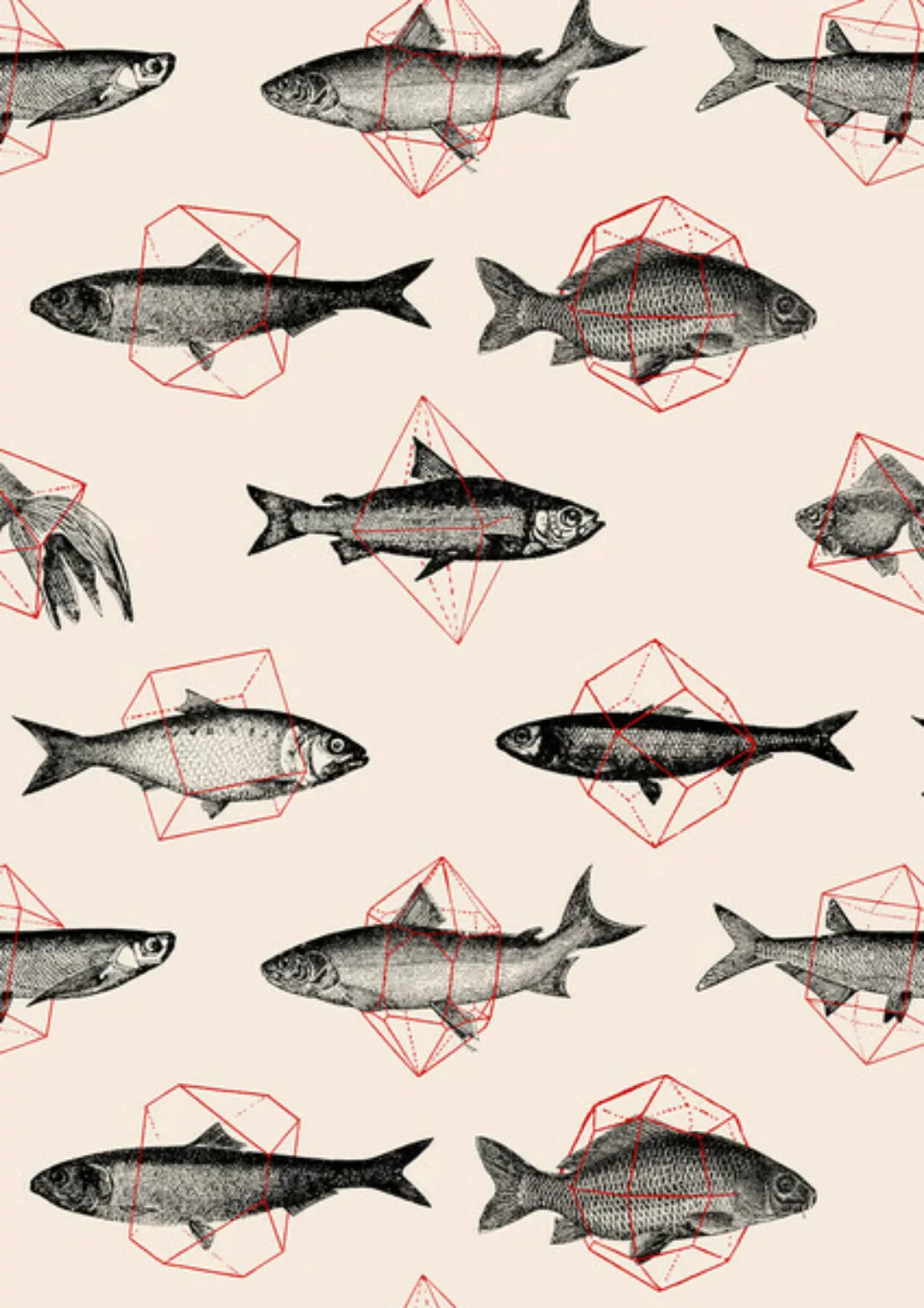 Poster / Leinwandbild - Fish In Geometrics Ii günstig online kaufen