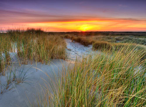 Papermoon Fototapete »Dunes Sunset« günstig online kaufen