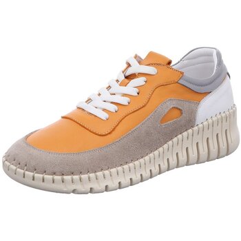 Gemini  Halbschuhe Schnuerschuhe ANILINA SCHNUERSCHUH 365103-49-496**BEIGE/ günstig online kaufen