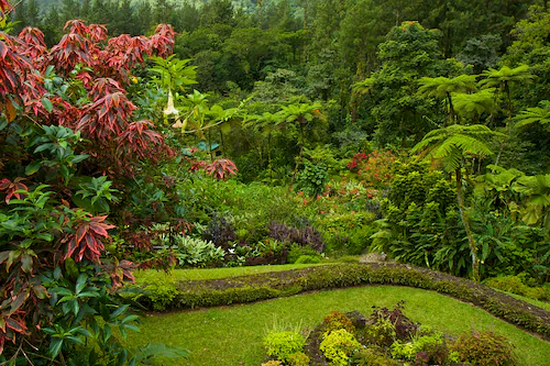 Papermoon Fototapete »GARTEN-BLUMEN BÄUME PFLANZEN PARK STEINE BLÜTEN WALD« günstig online kaufen