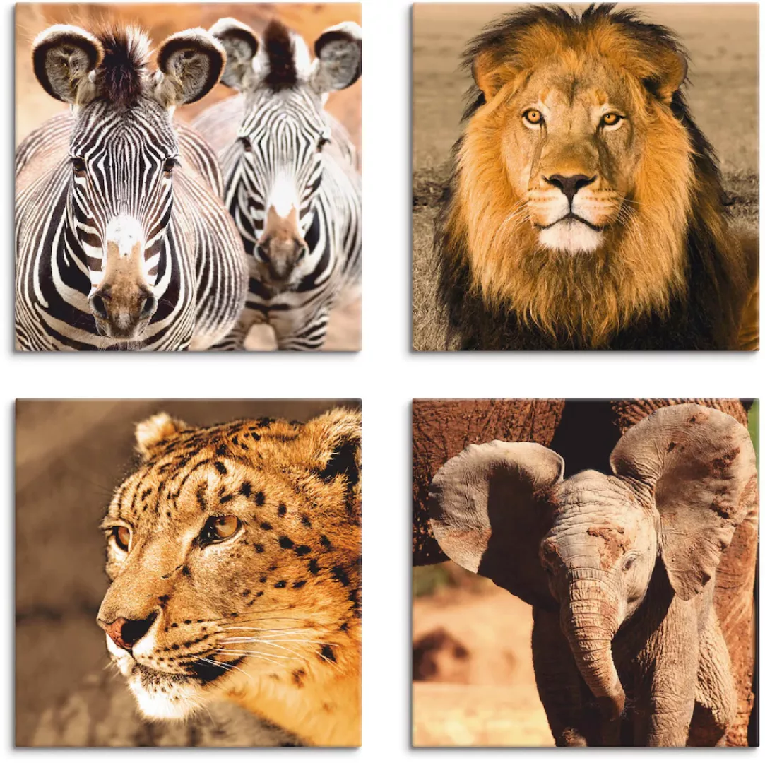 Artland Leinwandbild »Zebras Löwe Schneeleopard Elefanten«, Wildtiere, (4 S günstig online kaufen