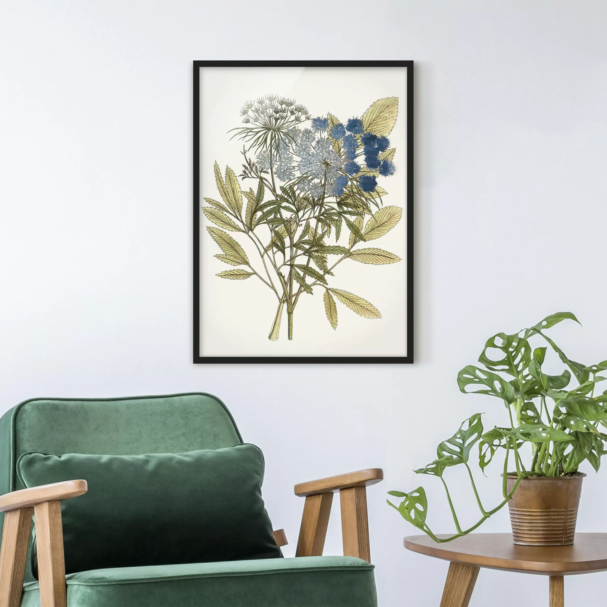 Bild mit Rahmen Blumen - Hochformat Wildkräuter Schautafel I günstig online kaufen