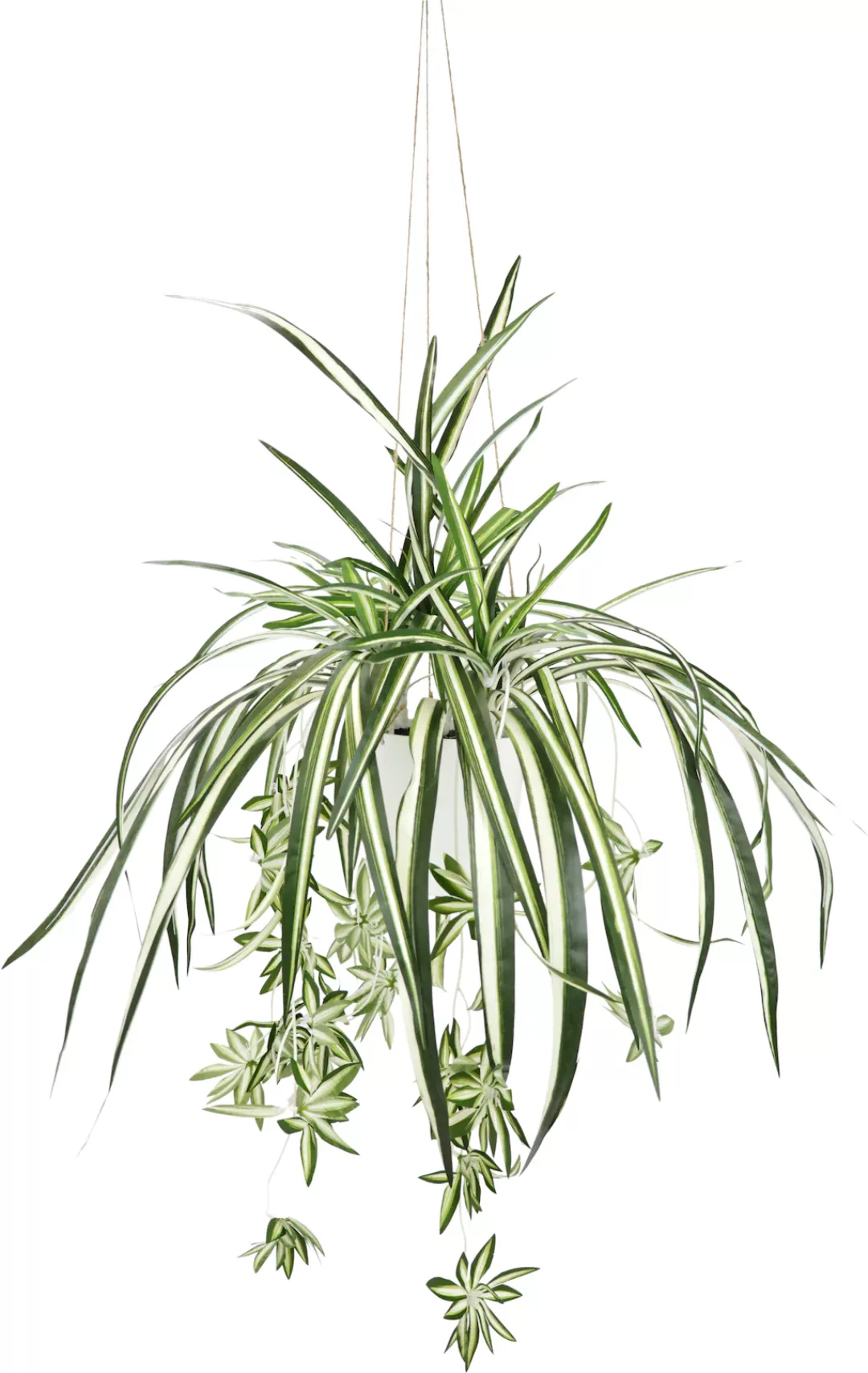 my home Kunstpflanze "Grünlilie", Mit Hängeampe, künstliche Wasserlilie günstig online kaufen
