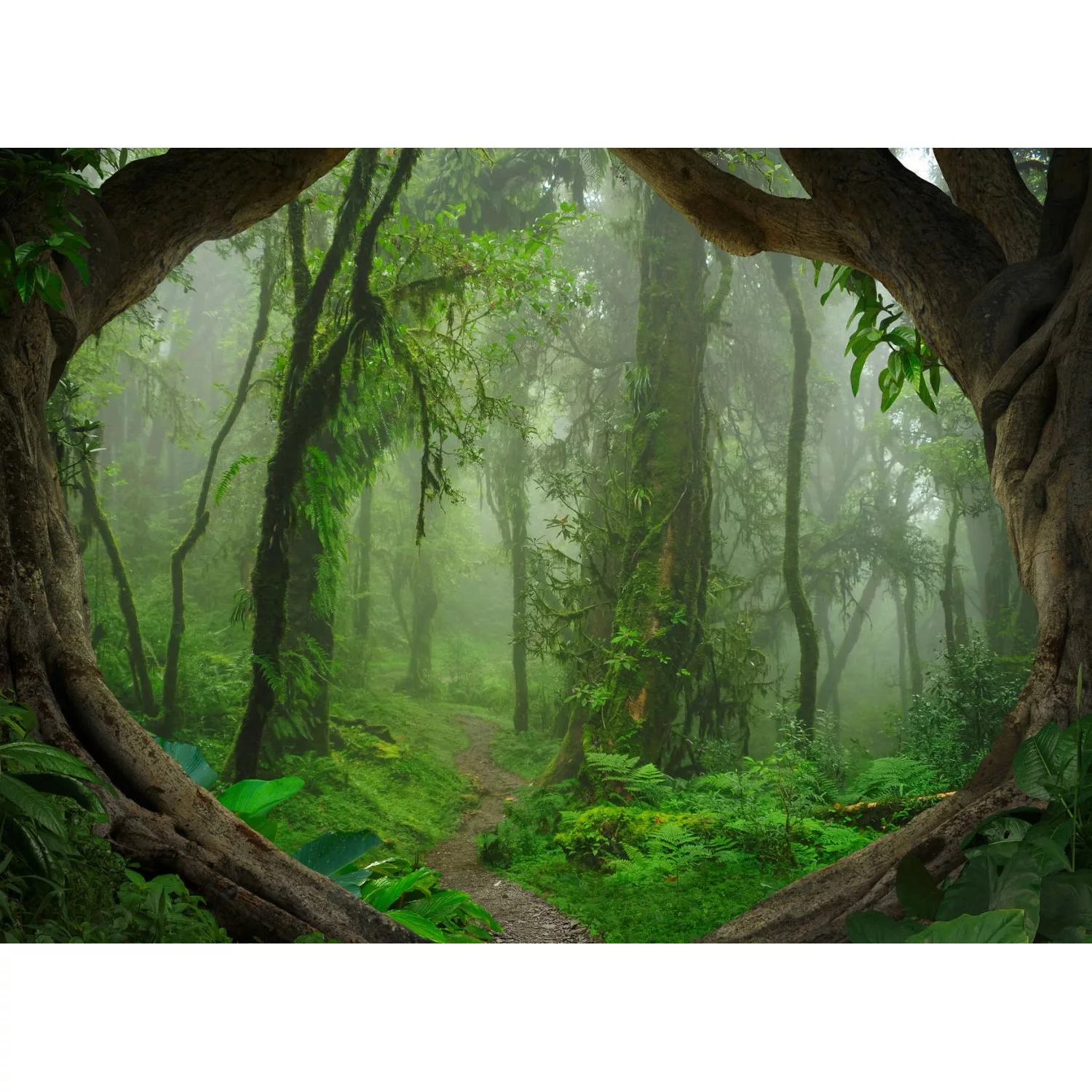 Fototapete Regenwald Dschungel Grün Braun 3,50 m x 2,55 m FSC® günstig online kaufen