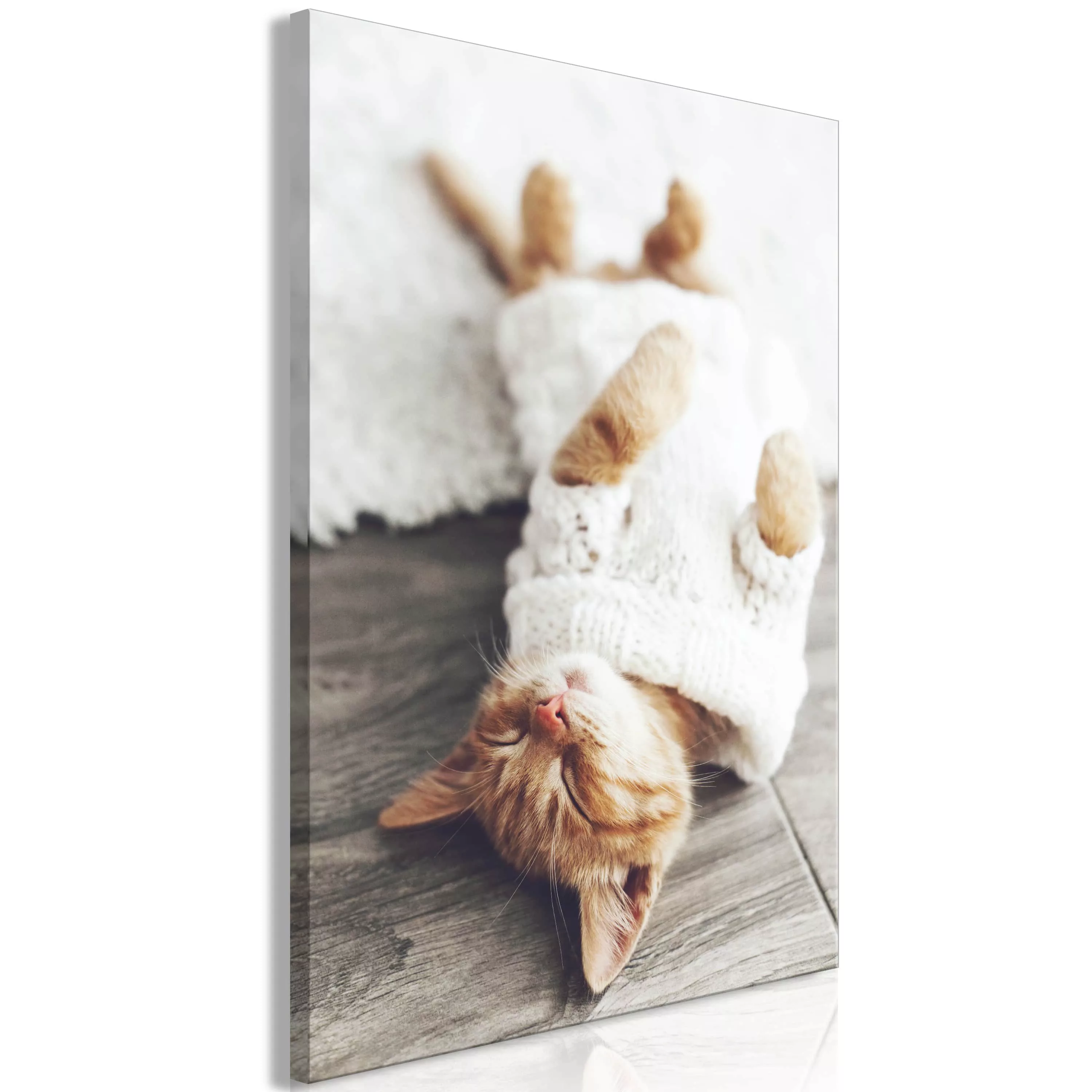Wandbild - Lazy Cat (1 Part) Vertical günstig online kaufen
