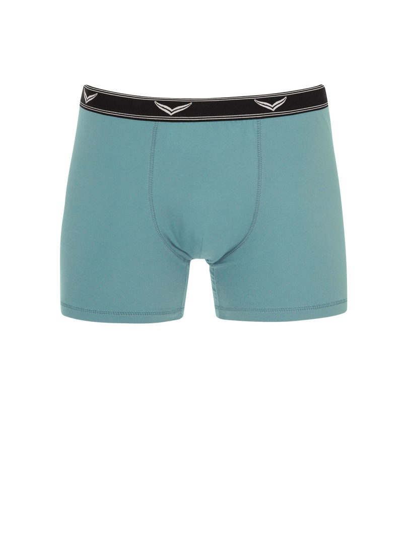 Trigema Boxer "TRIGEMA Bequeme Pants mit Webgummibund", (1 St.) günstig online kaufen