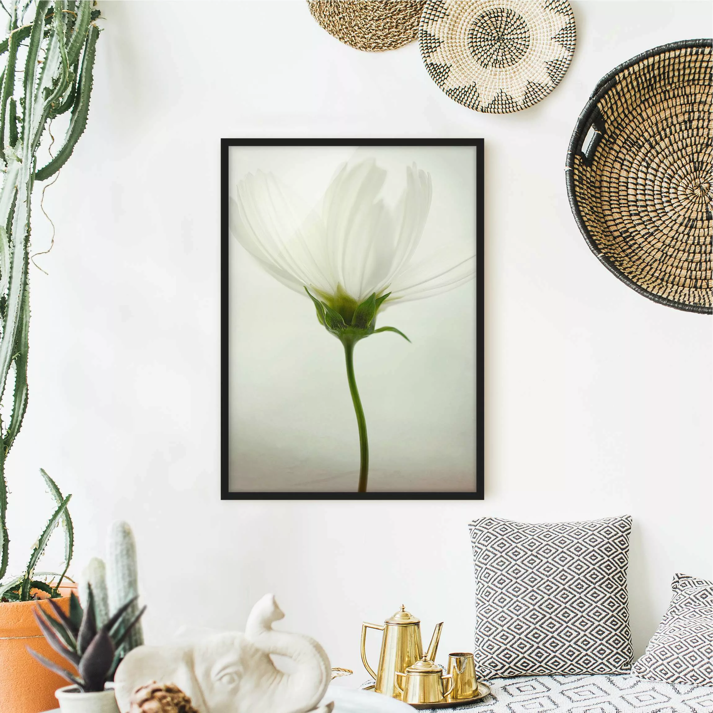 Bild mit Rahmen Blumen - Hochformat Weiße Cosmea günstig online kaufen
