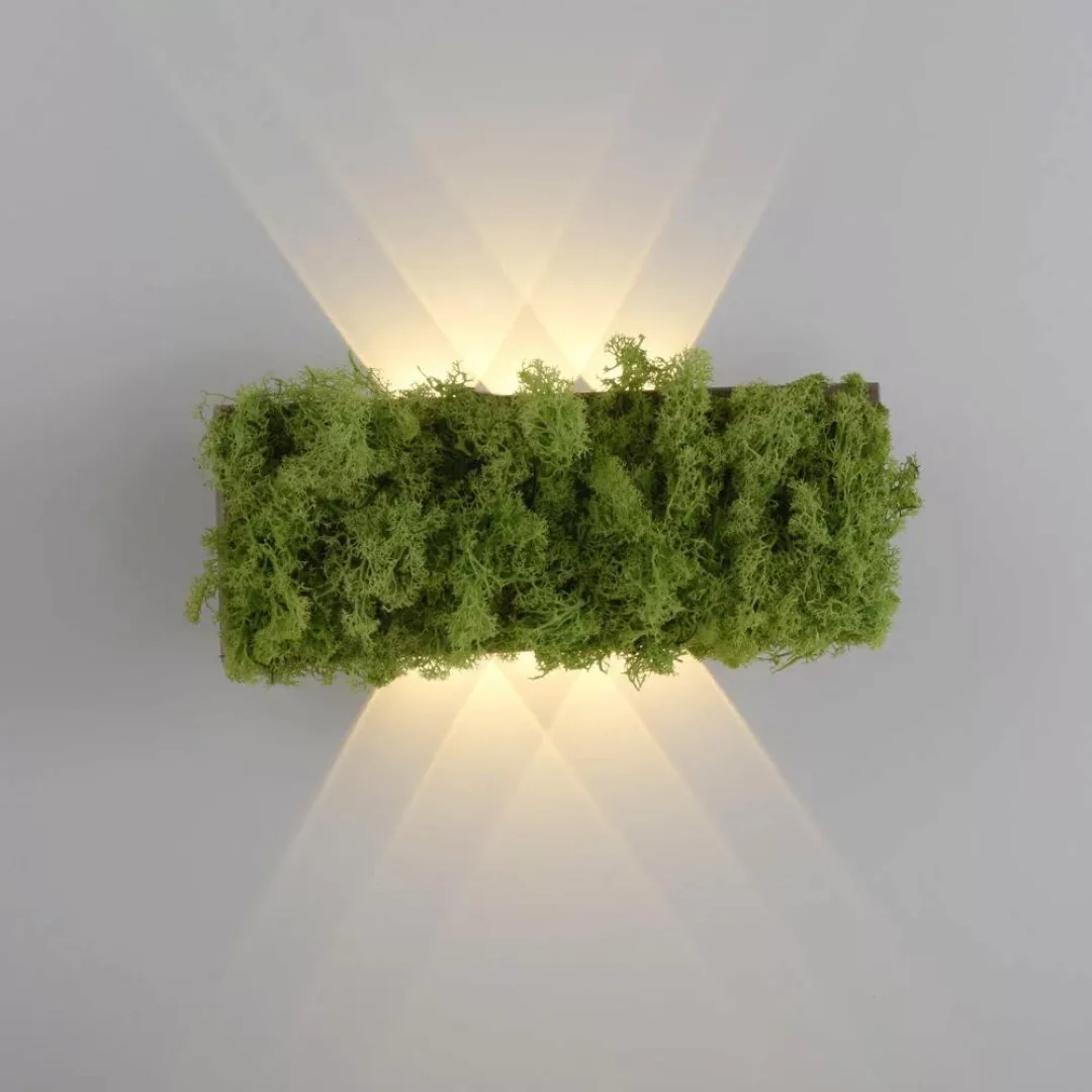 LED-Wandleuchte Green Carlo, Up/Down, echtes Moos günstig online kaufen