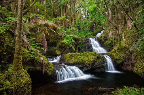 Papermoon Fototapete »WASSERFALL-MAGISCHER WALD BÄUME FLUSS SEE STEINE BLUM günstig online kaufen