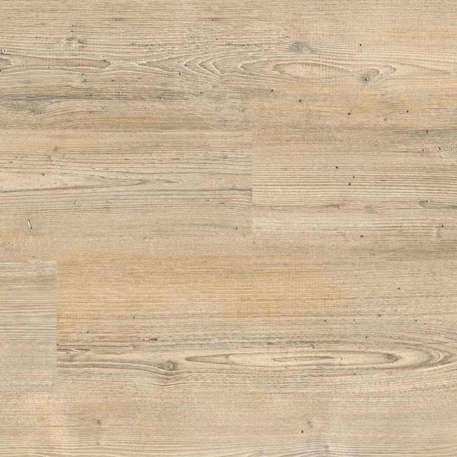 Project Floors Klebe-Vinylboden Home/30 PW 3021/30 günstig online kaufen