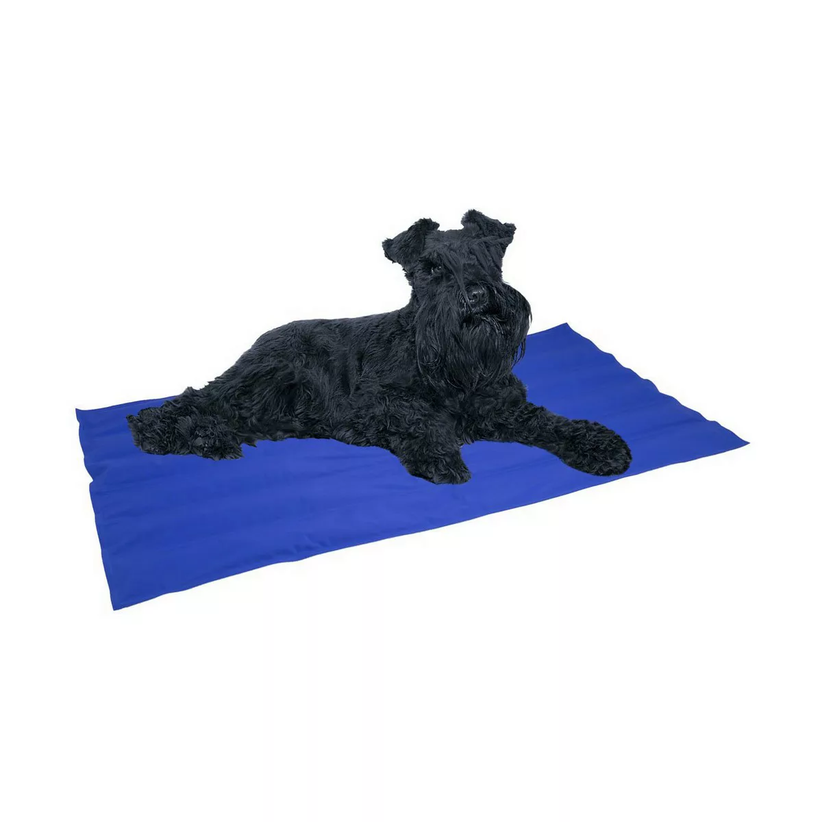 Hundeteppich Nayeco Cool Mat Blau Kühlgel Gefertigt (50 X 40 Cm) günstig online kaufen