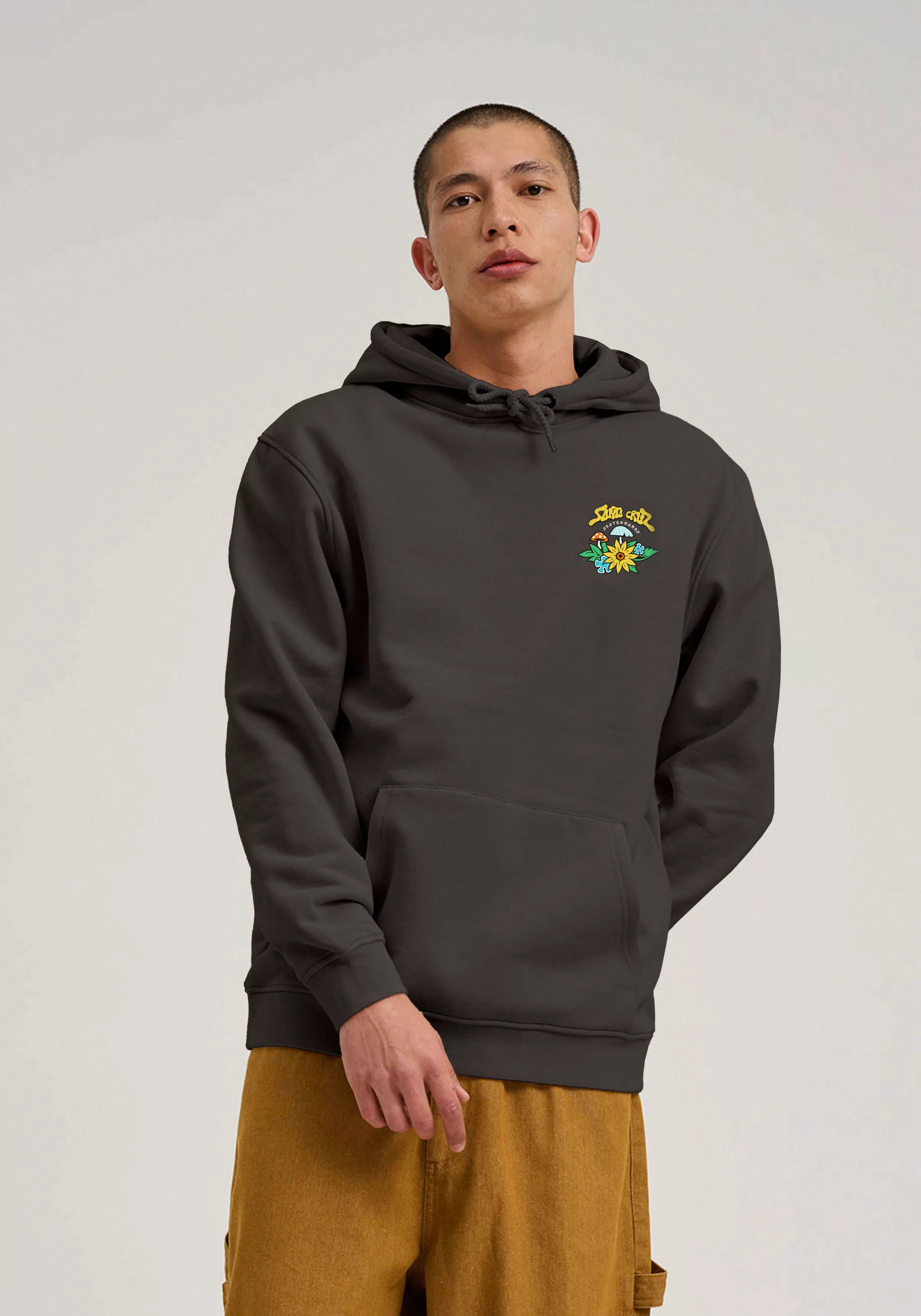 Santa Cruz Kapuzensweatshirt WINKOWSKI DOPE PLANET günstig online kaufen