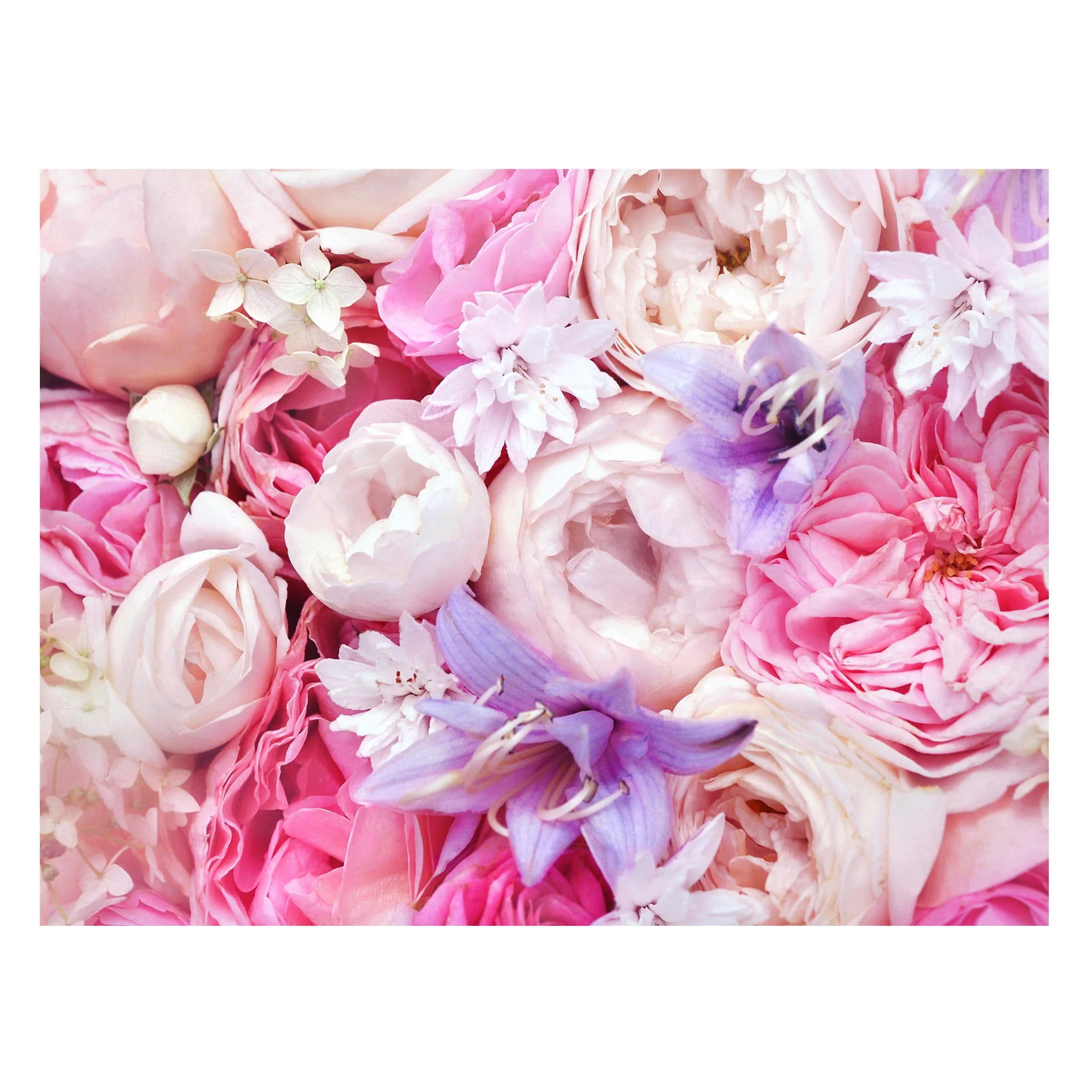 Magnettafel Blumen - Querformat 4:3 Shabby Rosen mit Glockenblumen günstig online kaufen