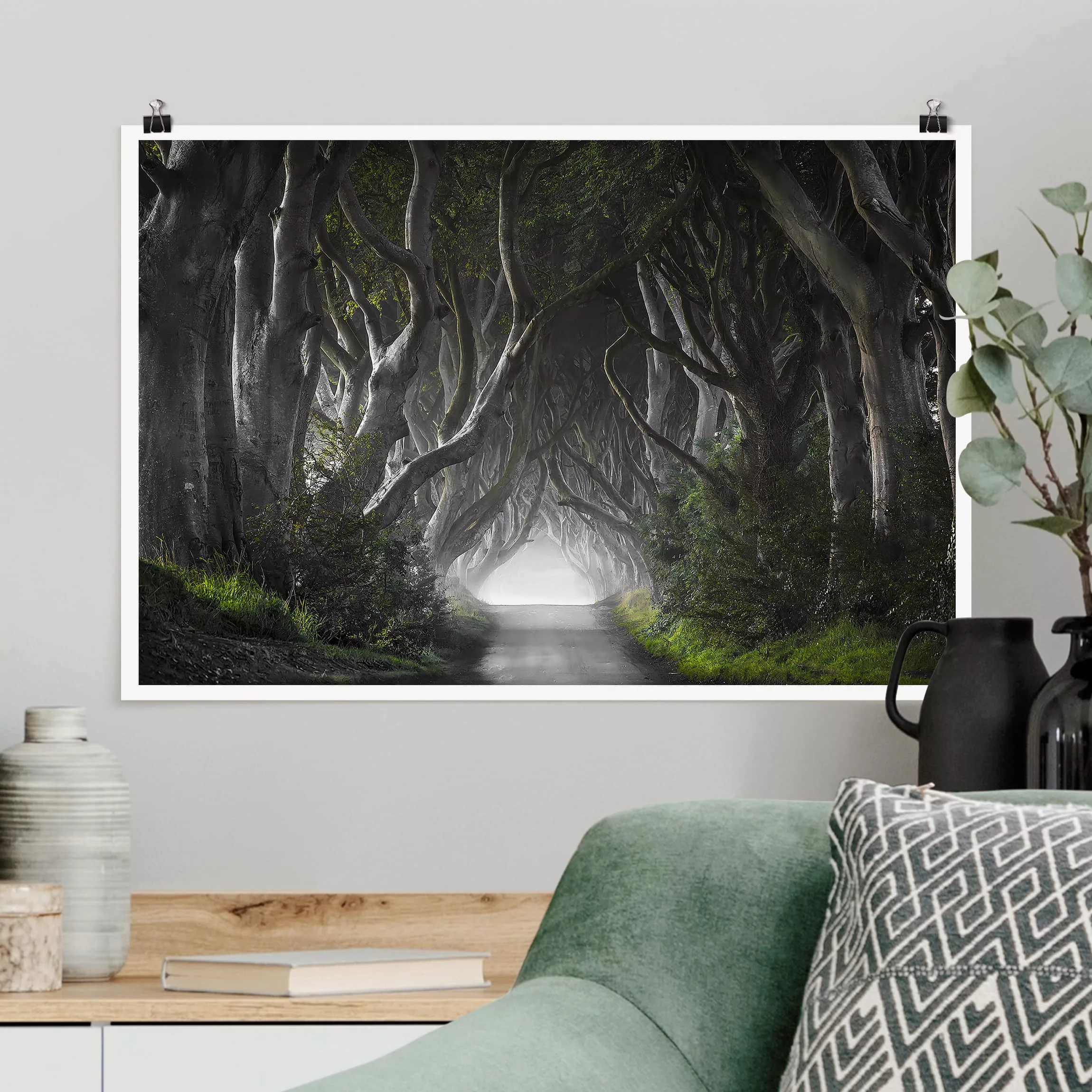 Poster Natur & Landschaft - Querformat Wald in Nordirland günstig online kaufen