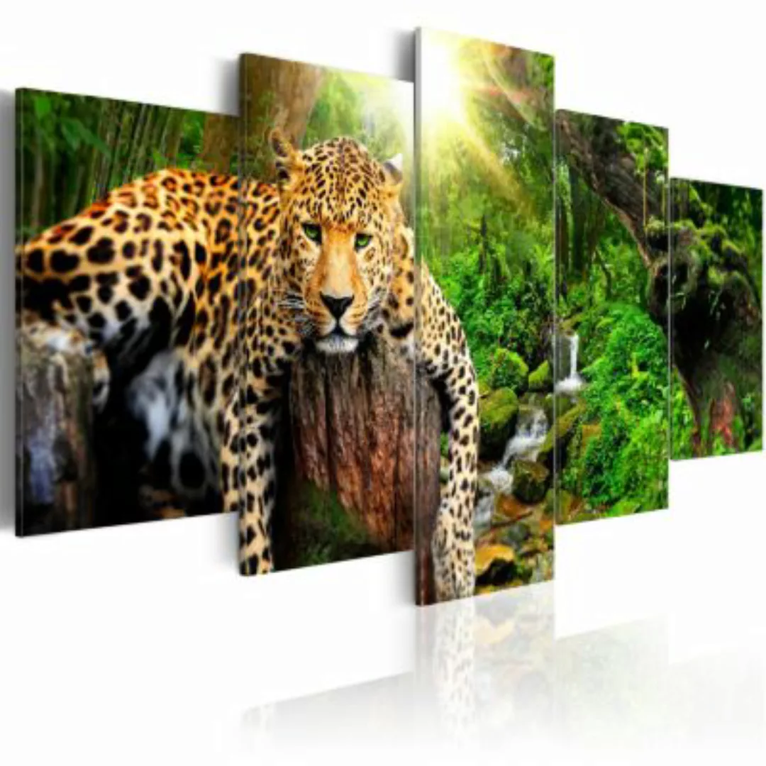 artgeist Wandbild Predator's Relaxation mehrfarbig Gr. 200 x 100 günstig online kaufen