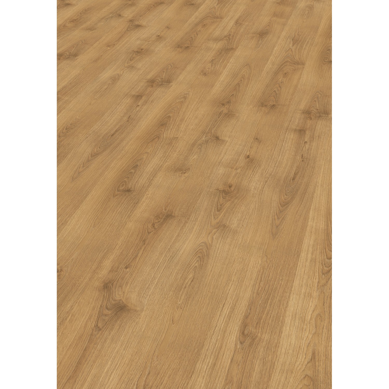 Egger Nature Sense Laminat 7 mm Eiche Natur günstig online kaufen