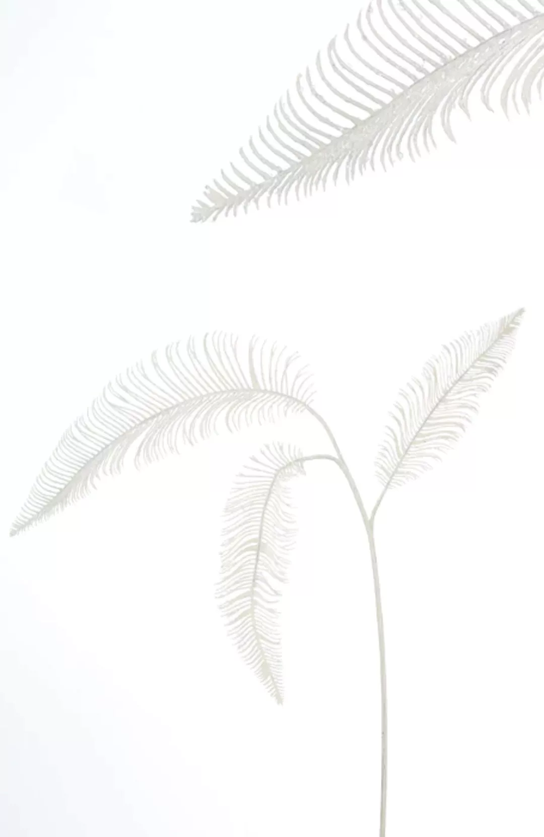 Kunstblume Farnzweig weiß 80 cm günstig online kaufen