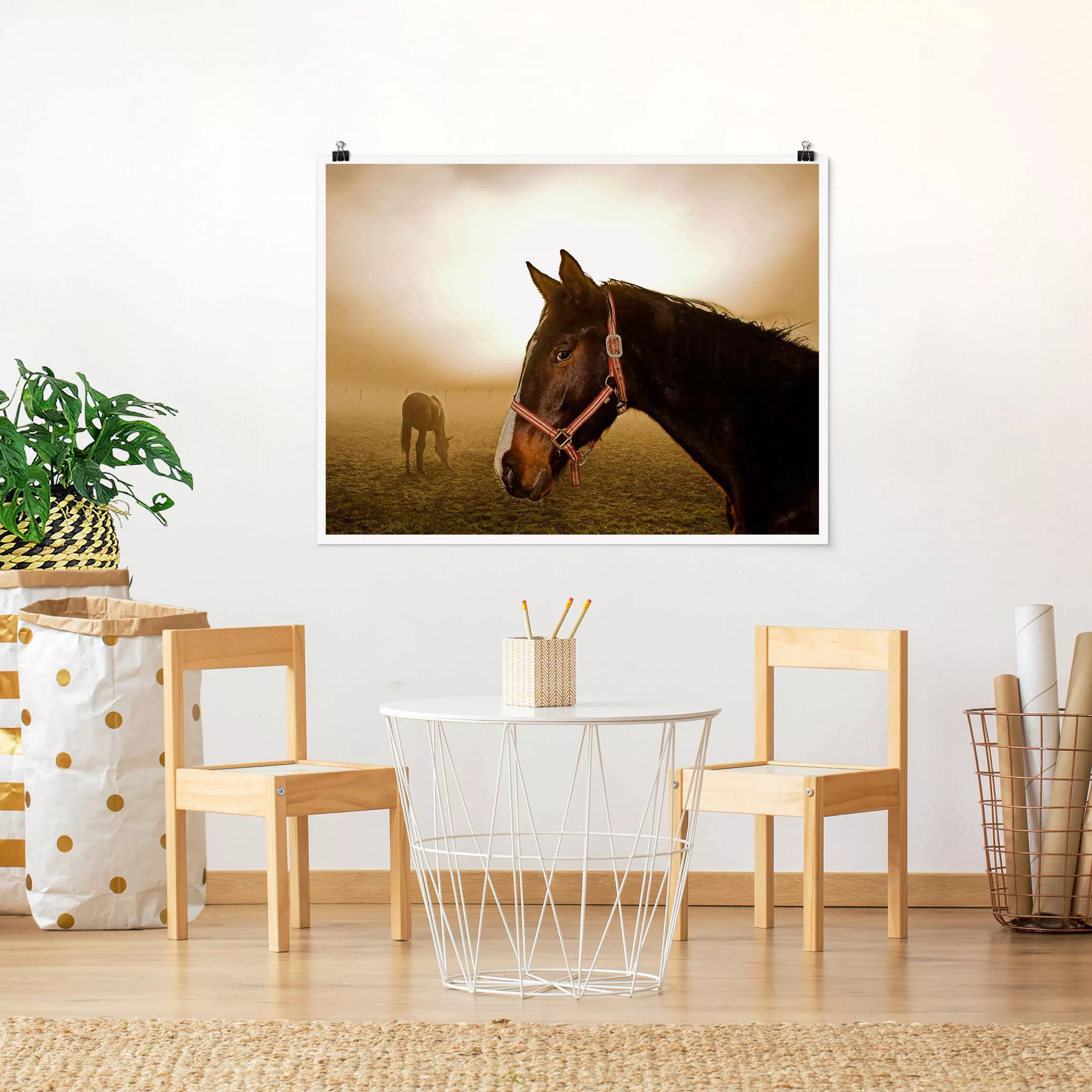 Poster Tiere - Querformat Early Horse günstig online kaufen