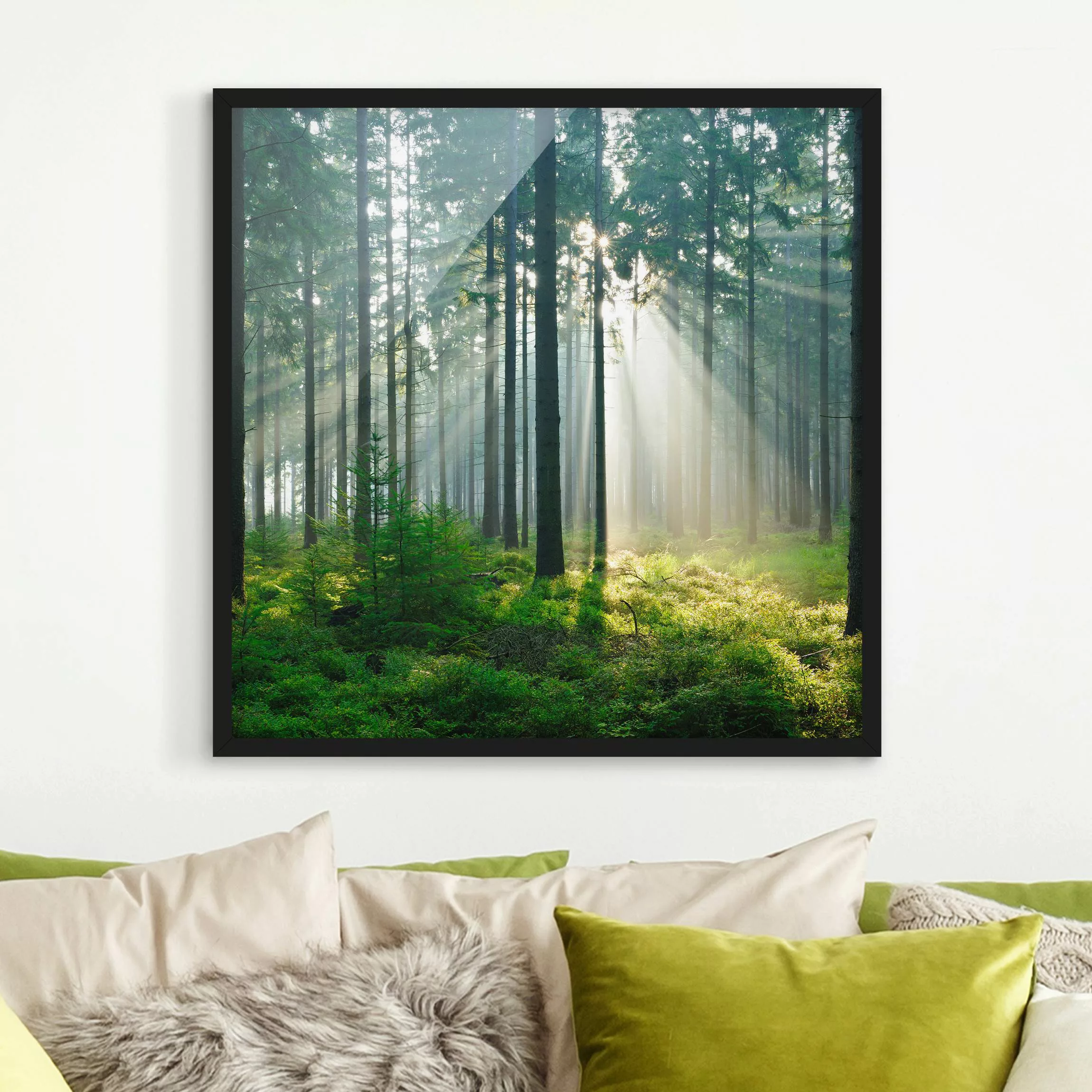 Bild mit Rahmen Natur & Landschaft - Quadrat Enlightened Forest günstig online kaufen