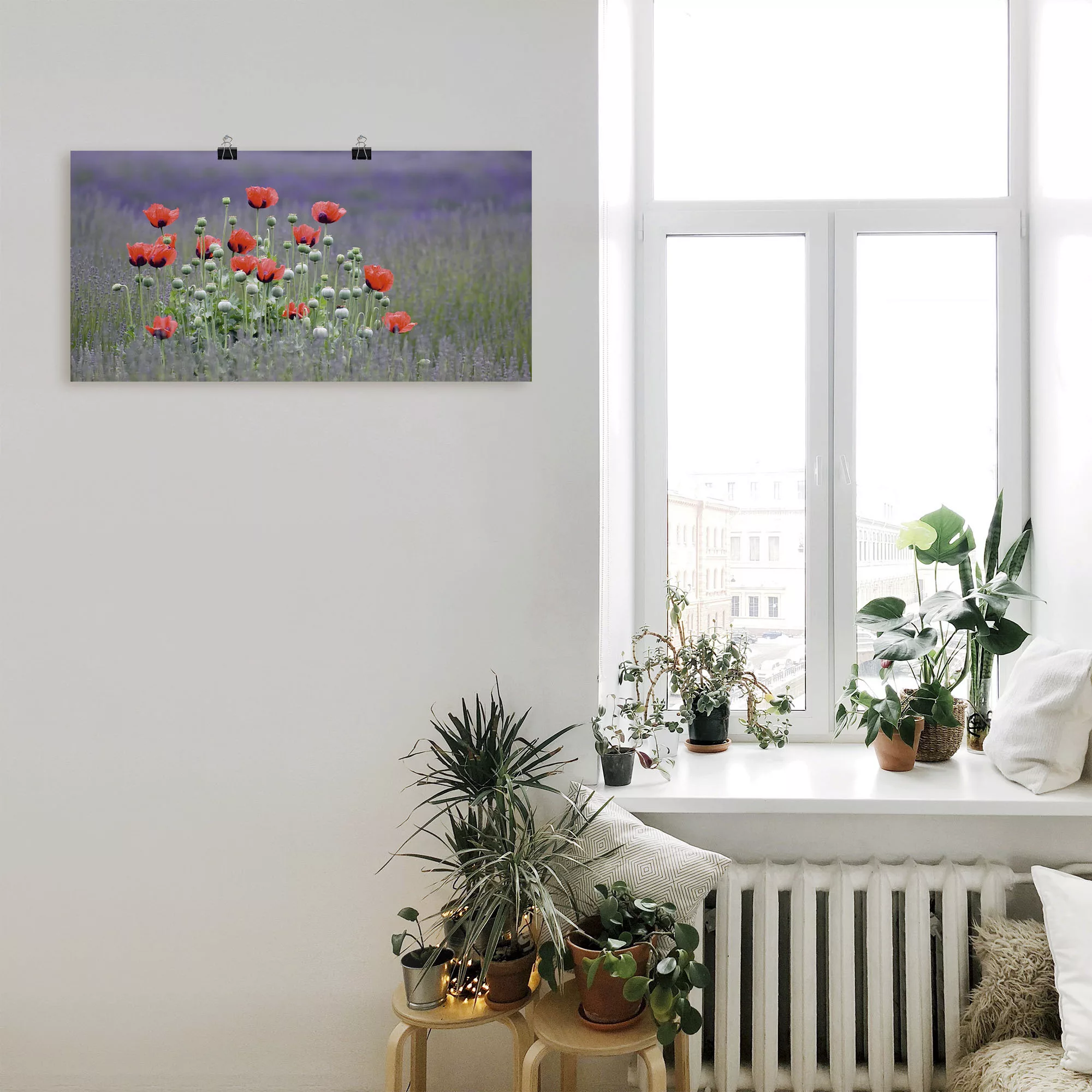 Artland Wandbild "Lavendelfarm in Sequim - Mohnblumen", Blumenwiese, (1 St. günstig online kaufen
