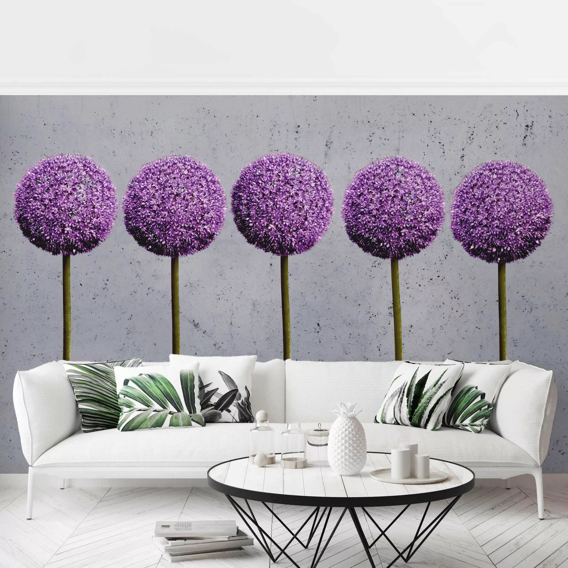 Fototapete Allium Kugel-Blüten günstig online kaufen